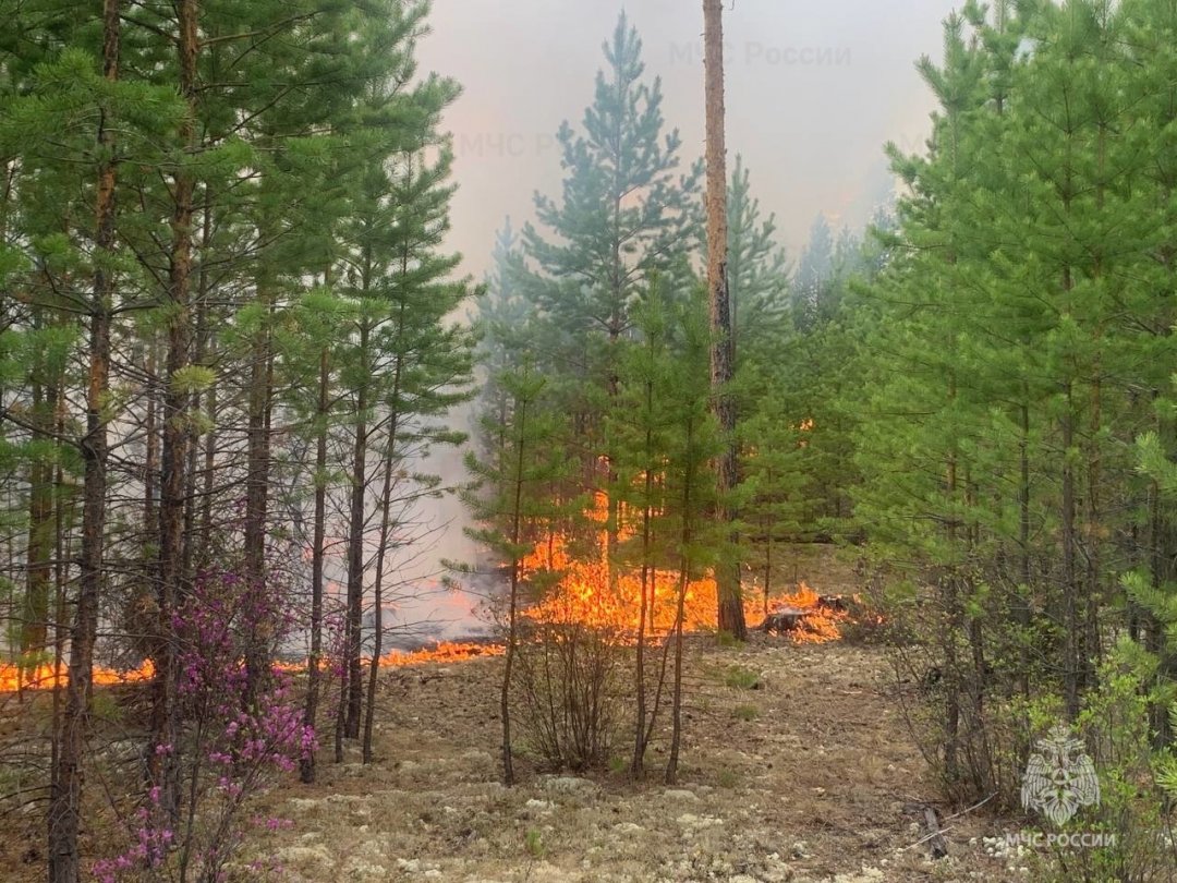 Лесной пожар в Муйском районе